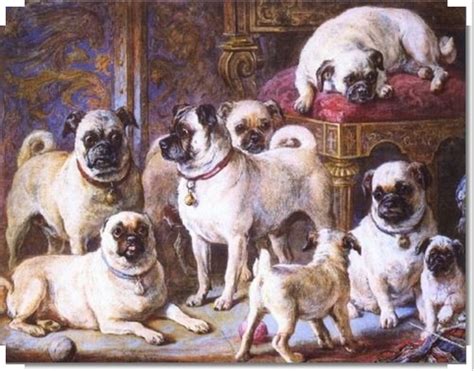 where do pugs originate from.